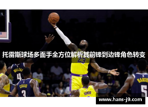 托雷斯球场多面手全方位解析其前锋到边锋角色转变