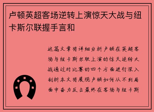 卢顿英超客场逆转上演惊天大战与纽卡斯尔联握手言和 卢顿英超客场逆转上演惊天大战与纽卡斯尔联握手言和